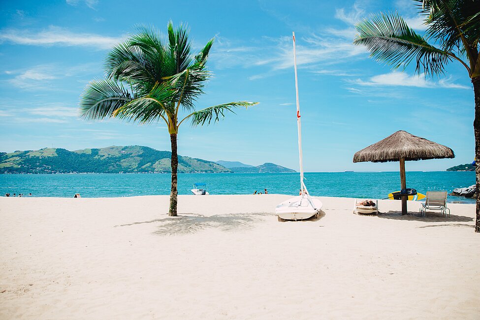 Beach with palmtrees